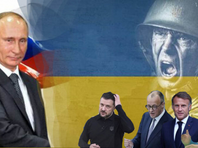 Krvelačné šelmy versus realita