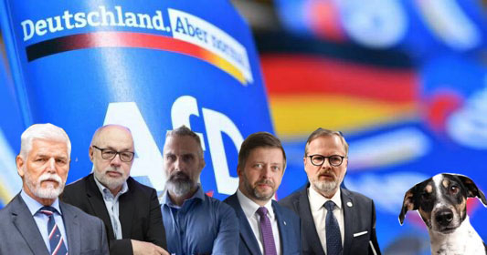 Miluji to eurohujerské stěžování si