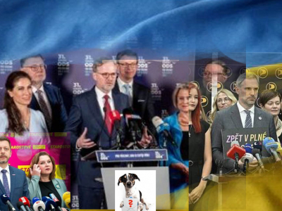 Nulová politická kultura