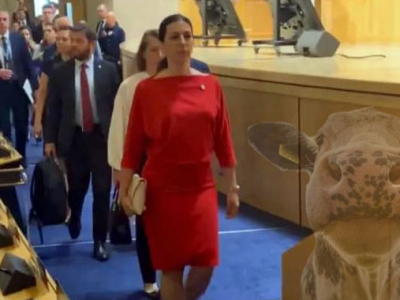 Pekarová Adamová je….