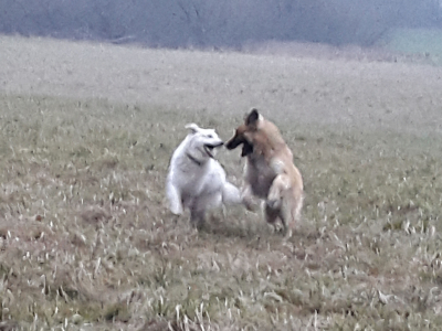 Dnes trochu atypicky