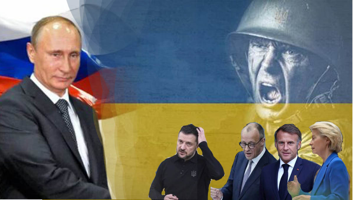 Krvelačné šelmy versus realita