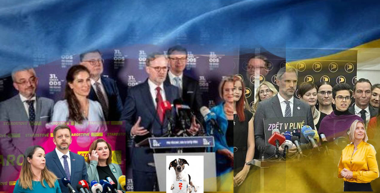 Nulová politická kultura