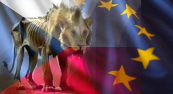 Návrat do smutné reality