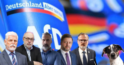 Miluji to eurohujerské stěžování si