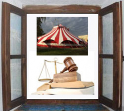 Okénko - Právo v kapse - Vládní cirkus