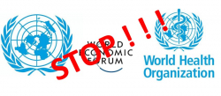Interrupce, sexuální výchova, cenzura a pandemie – o všem rozhodnou na půdě OSN a WHO
