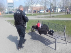 Jak se tvoří čísla a proč?