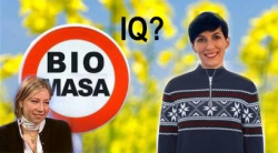 Neměl by na řadu přijít test inteligence?