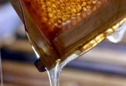 Zázračný lék - med a skořice
