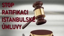 Istanbulská smlouva v Evropském parlamentu