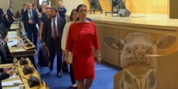 Pekarová Adamová je….