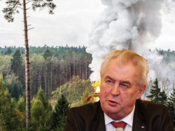 Liberálové vřískají, Zeman ukázal klidnou hlavu