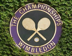 Wimbledon pohltil televizní obrazovky 