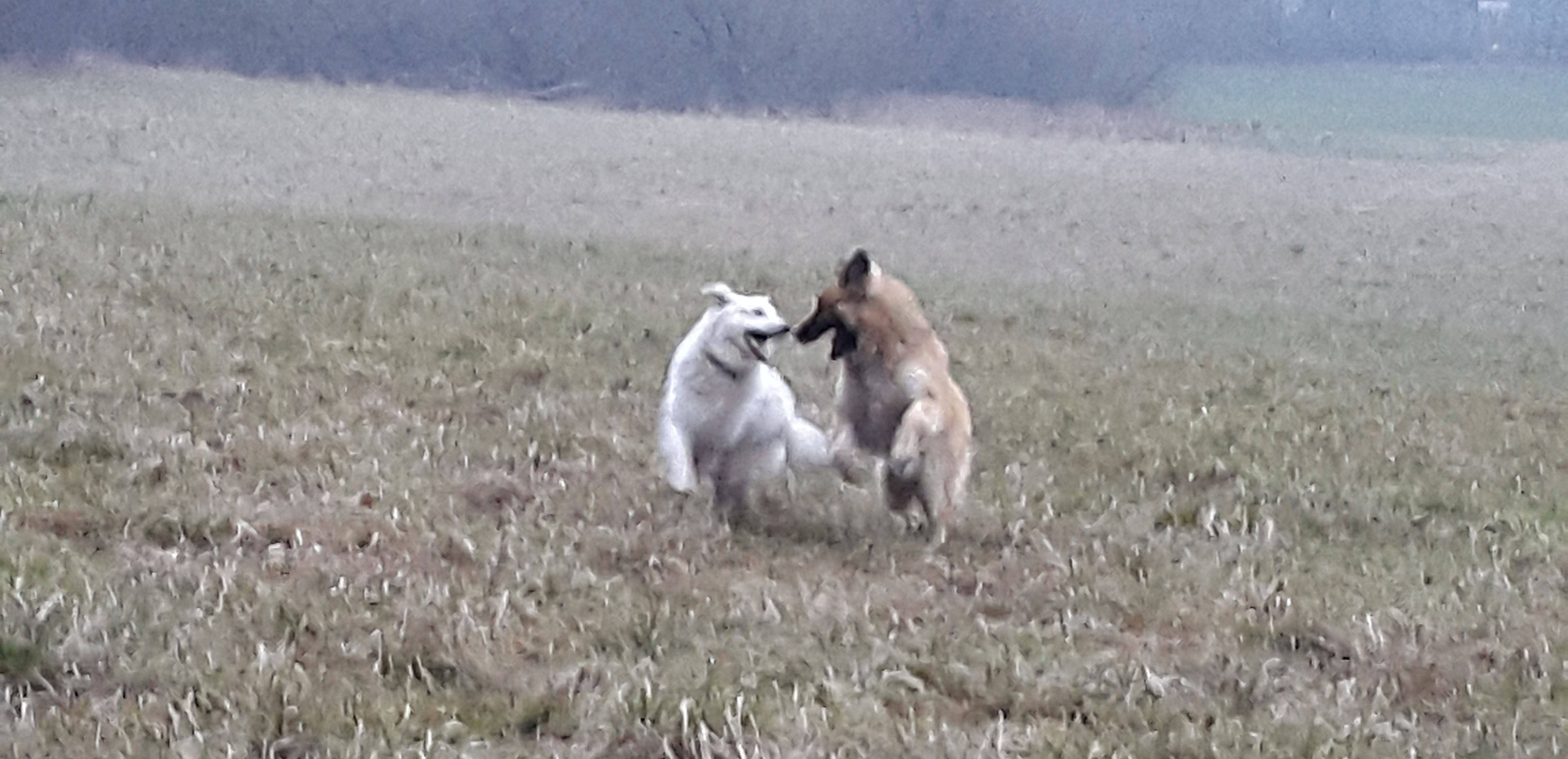 Dnes trochu atypicky