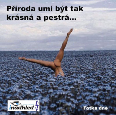 Fotka dne