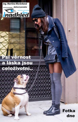 Fotka dne