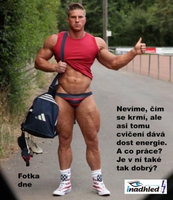 Fotka dne