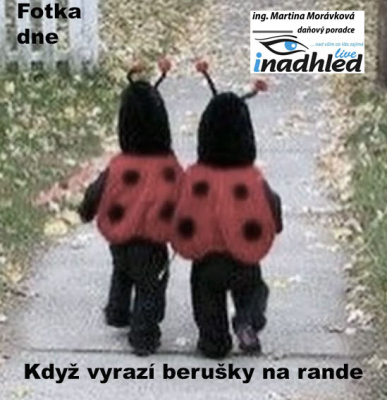 Fotka dne