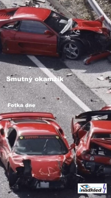 Fotka dne
