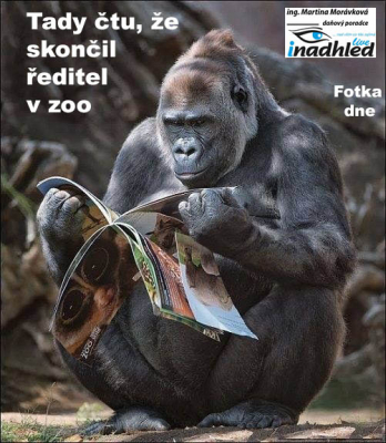 Fotka dne