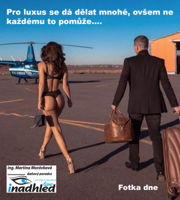 Fotka dne